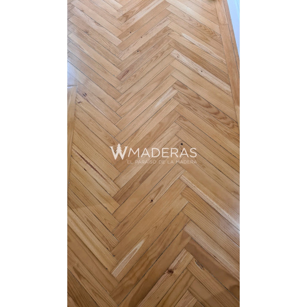 Proyecto Santiago Centro Parquet
