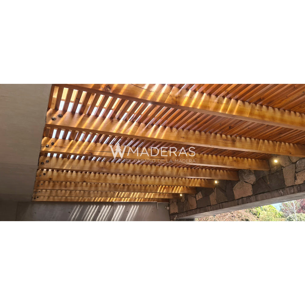 Vigas VI Región