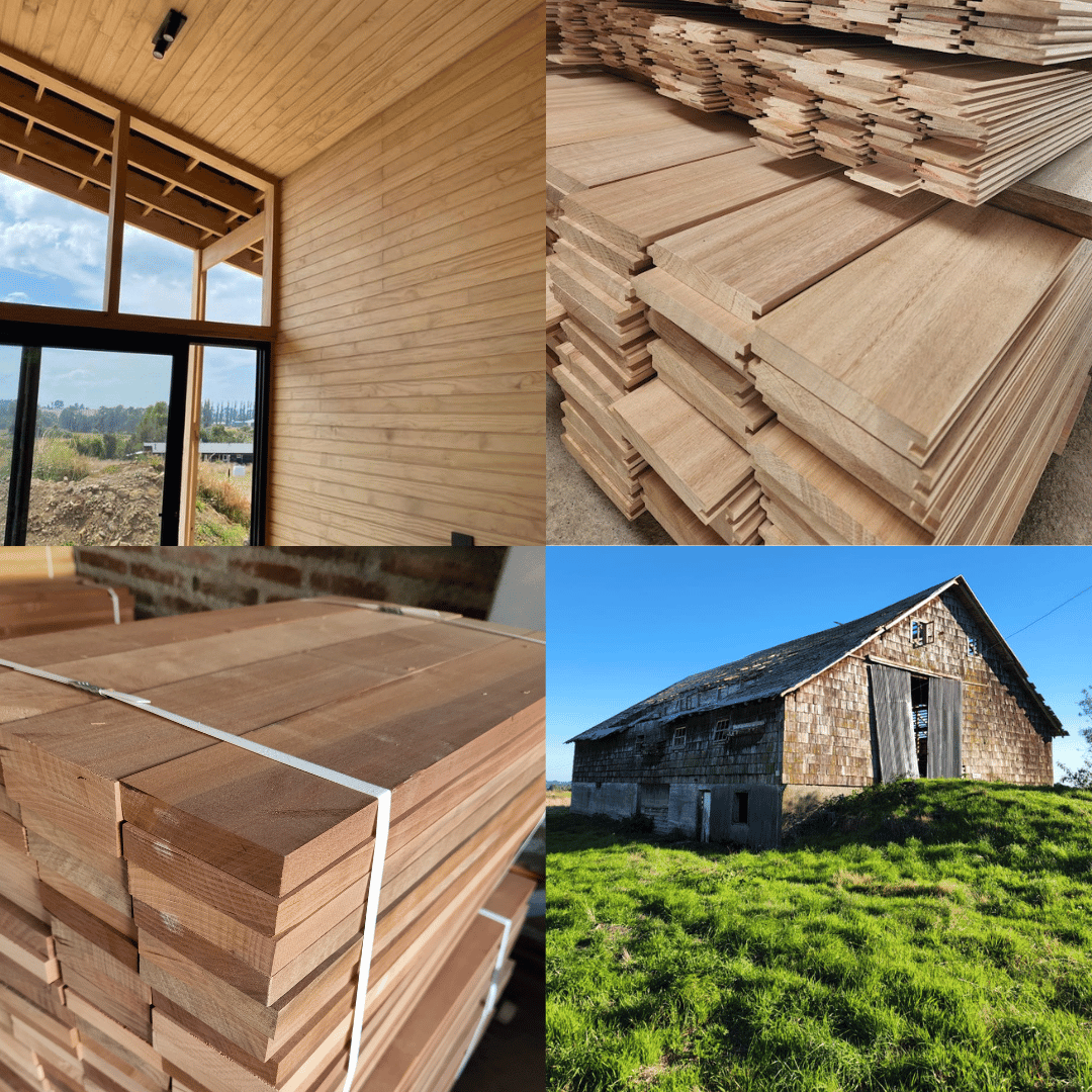 Productos Destacados