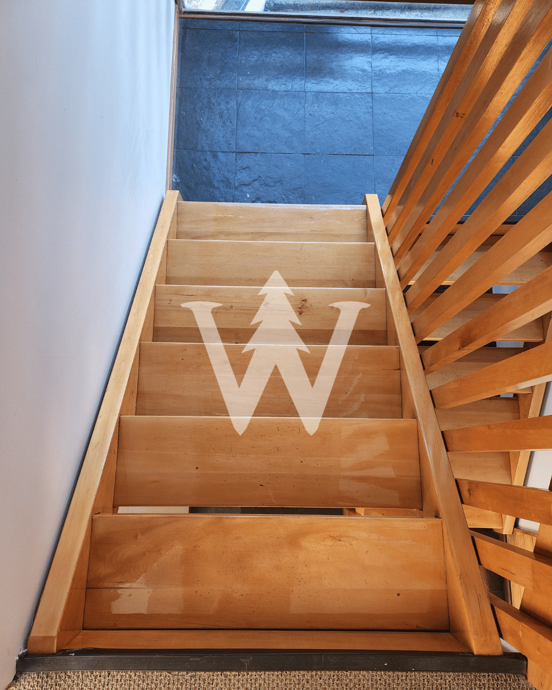 Peldaños de Mañío