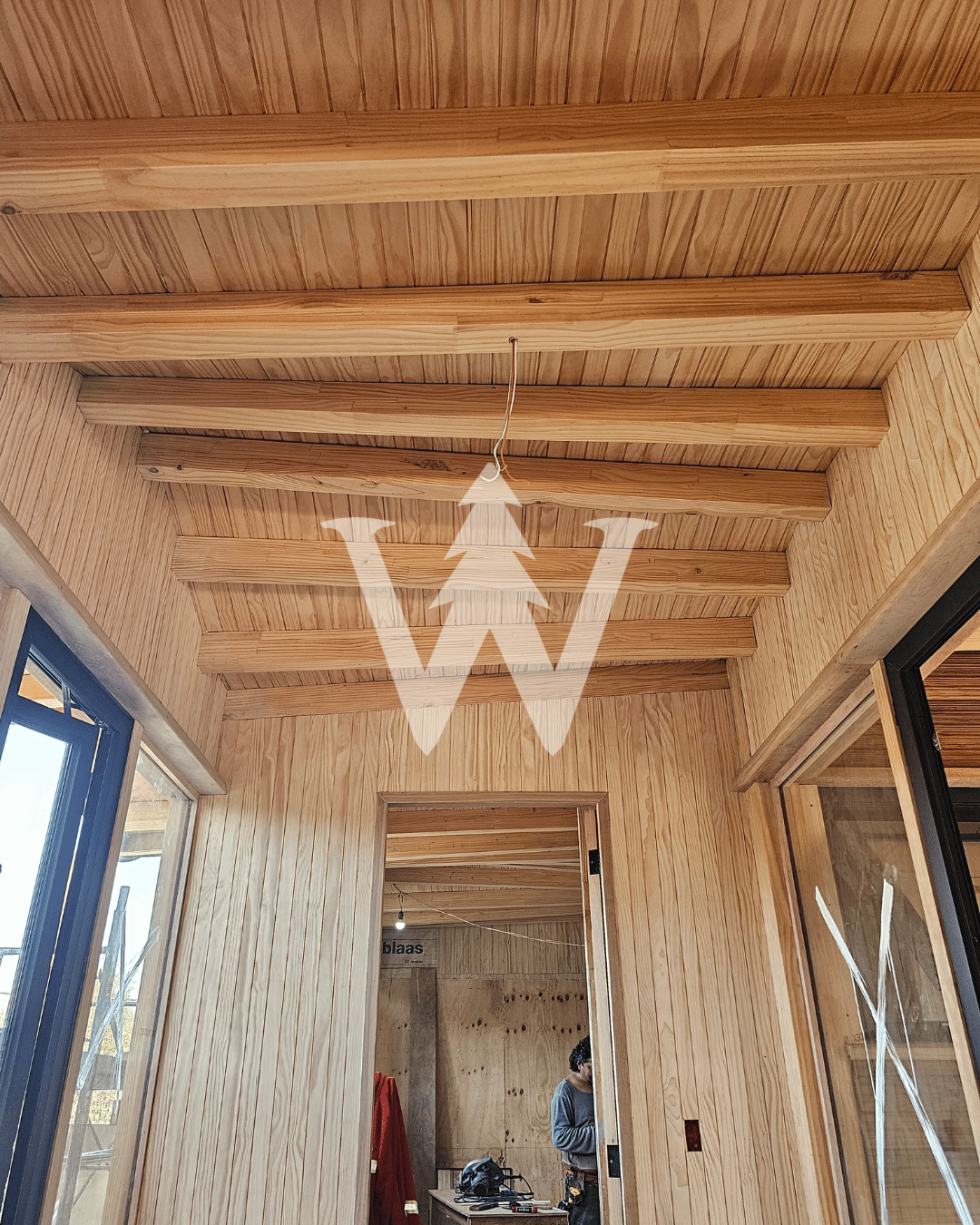 Decofaz Arauco - Pino Clear