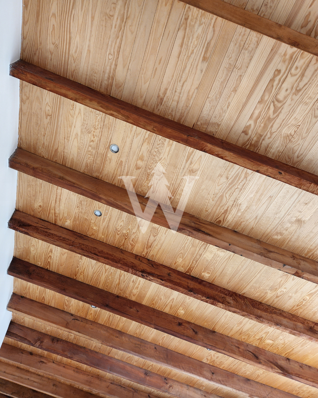 Decofaz Arauco - Pino Clear