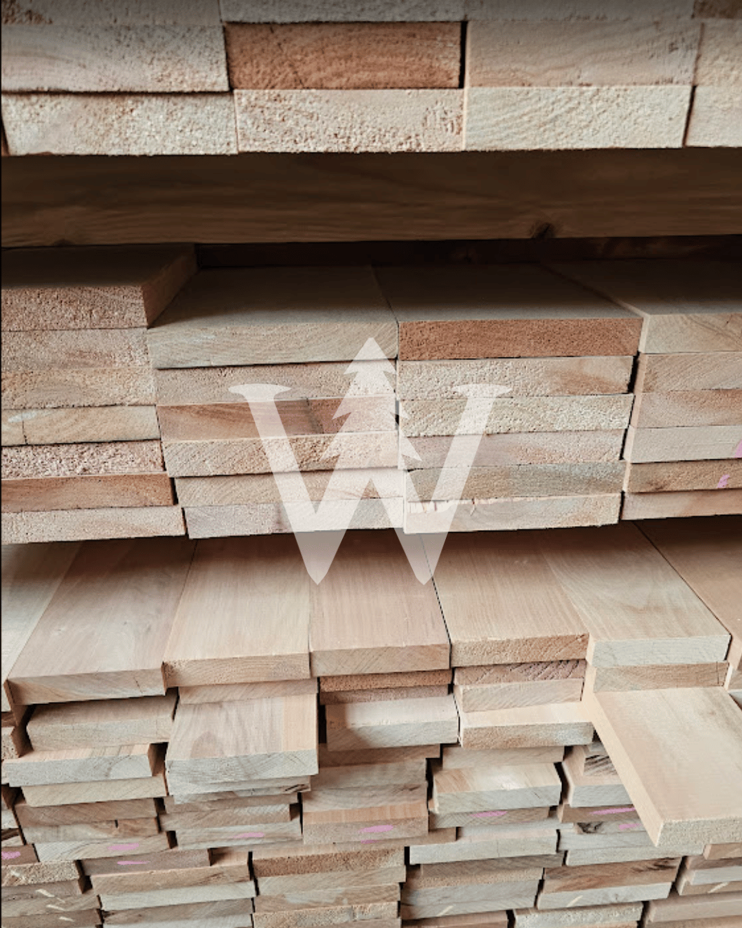 Tablas de Roble Vaporizado – Seco en Cámara y Cepillado 4 Caras