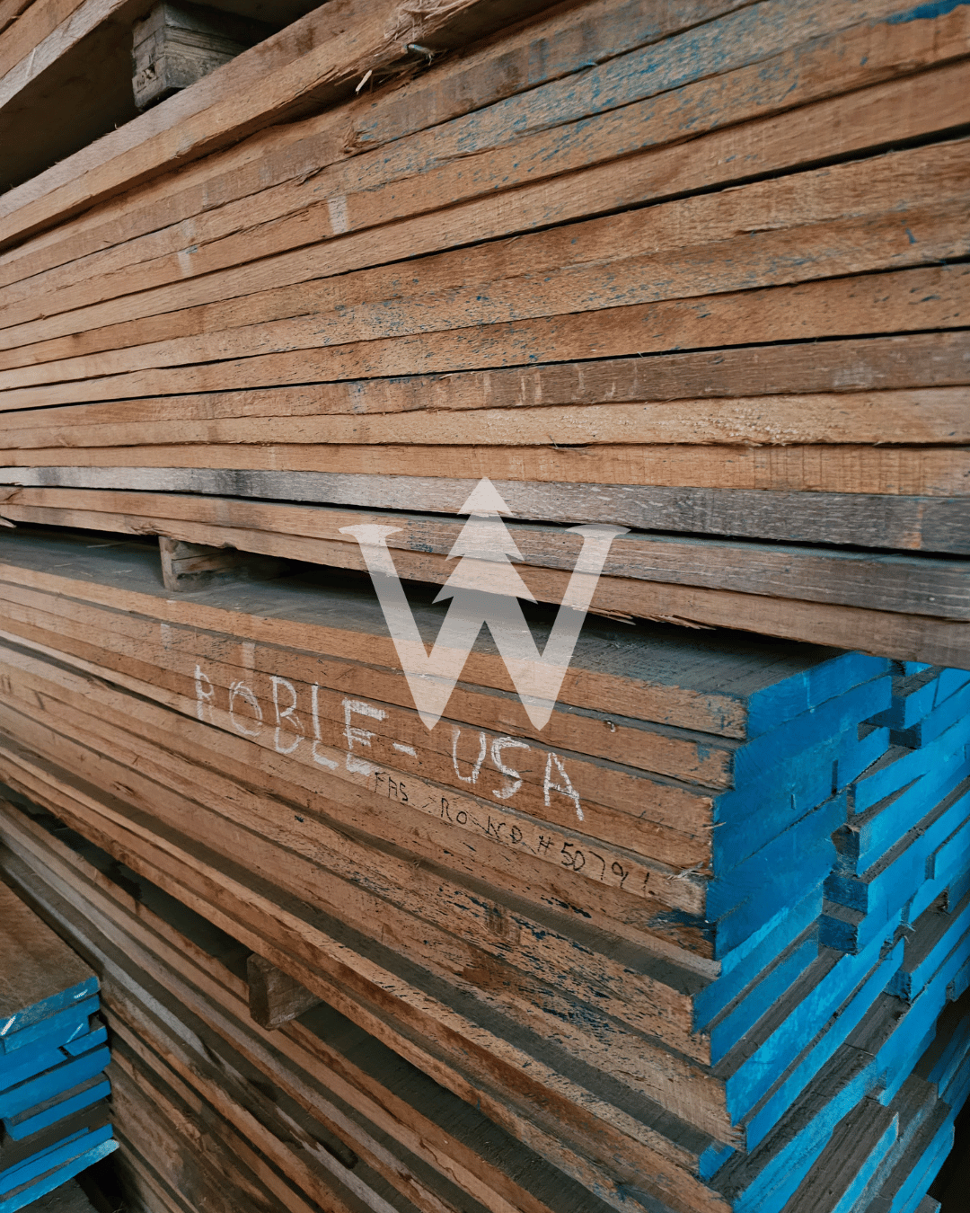 Roble Americano - Madera de Alta Calidad desde Estados Unidos