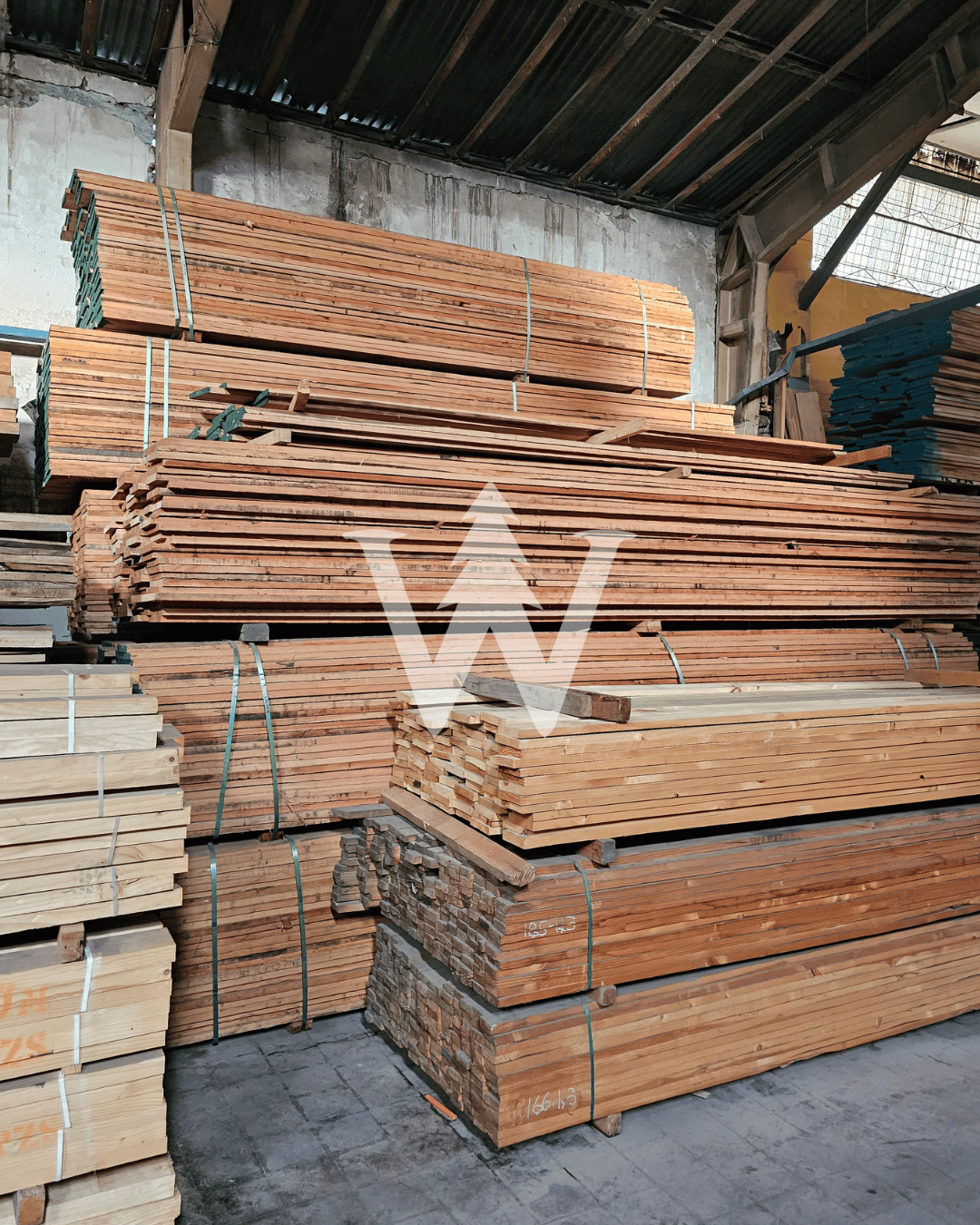 Eucalyptus Grandis - Madera de Alta Calidad y Versatilidad