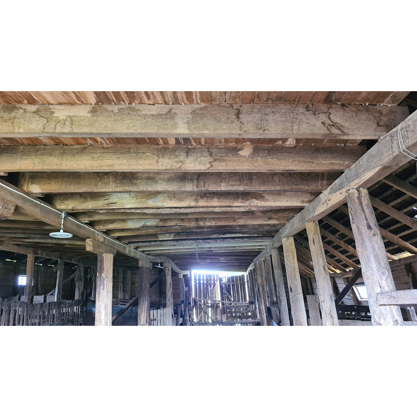 Galpones y casonas de madera reciclada