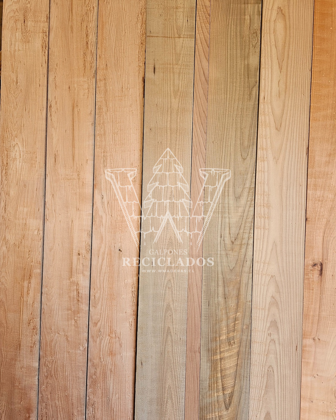 Madera de Ulmo Reciclado/Demolición