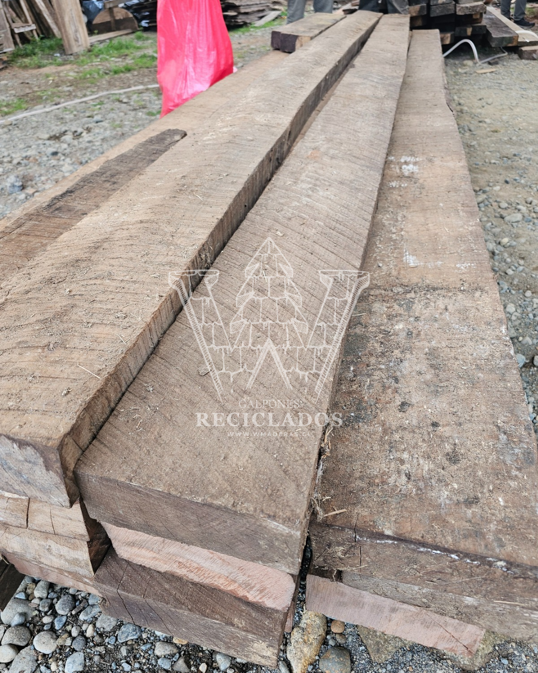 Madera de Ulmo Reciclado/Demolición