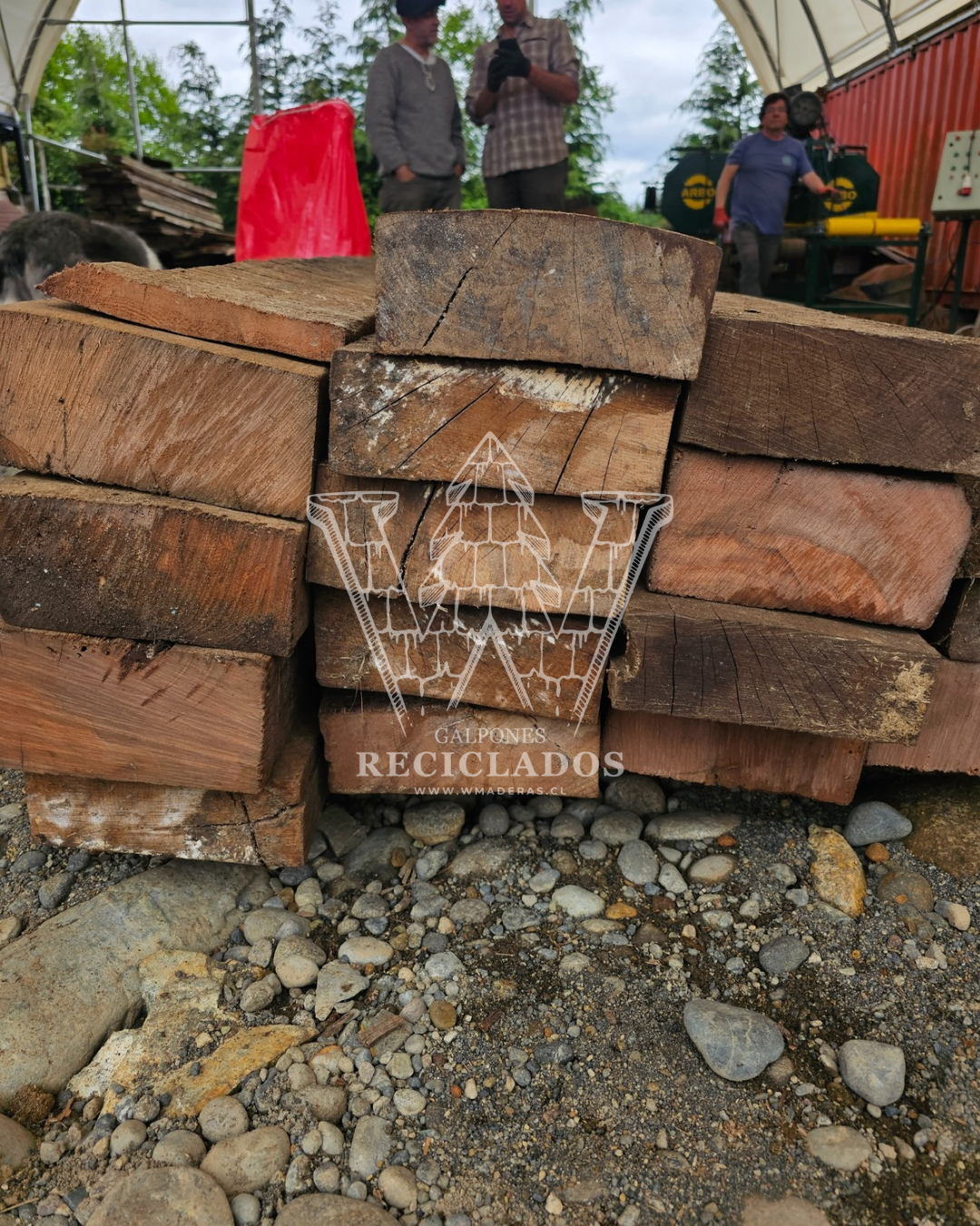 Madera de Ulmo Reciclado/Demolición