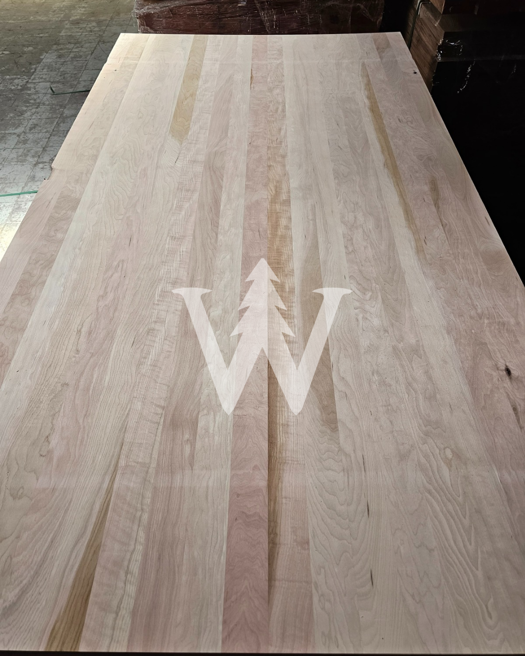 Cubiertas Lenga stock (Selecta)