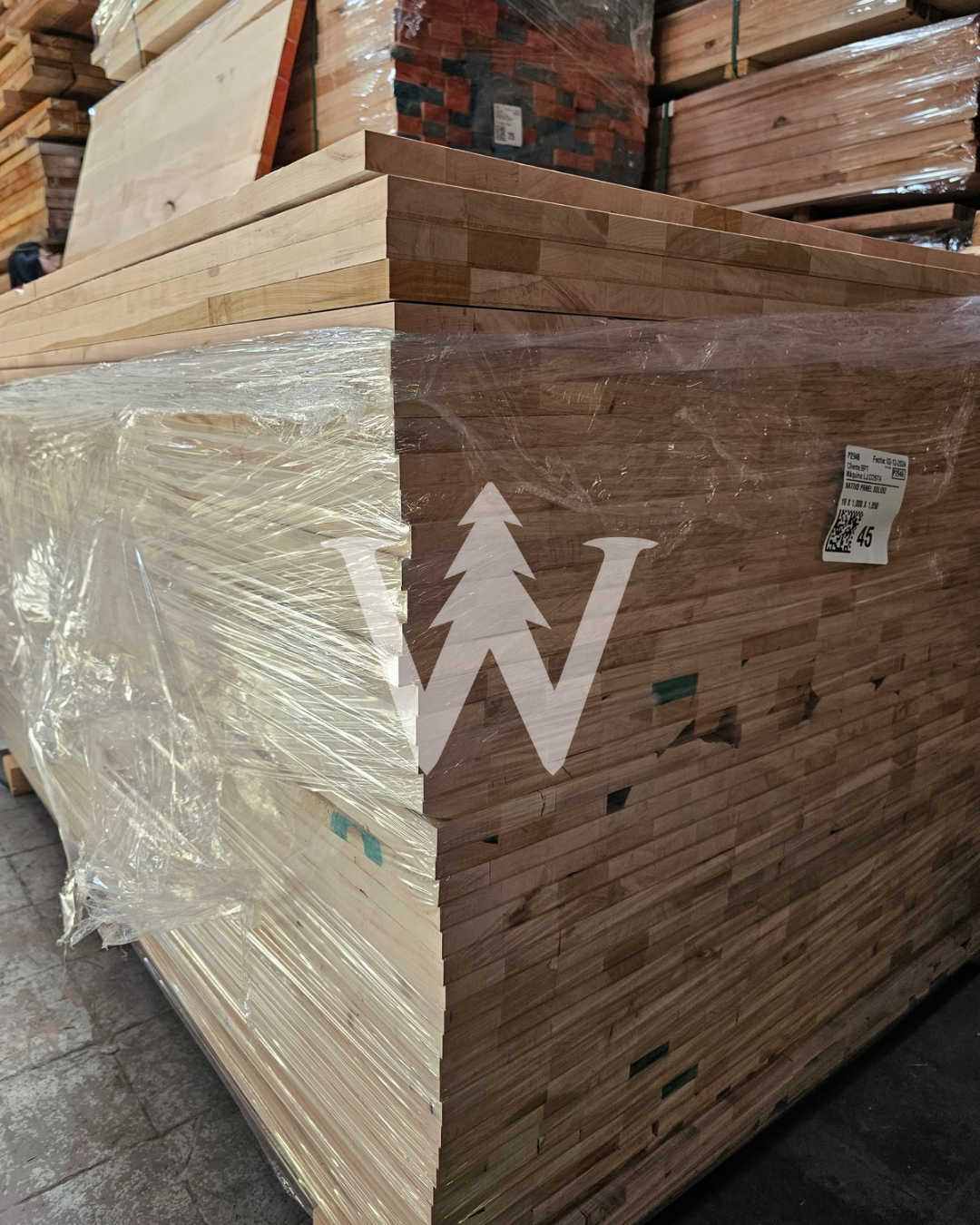 Cubiertas Lenga stock (Selecta)