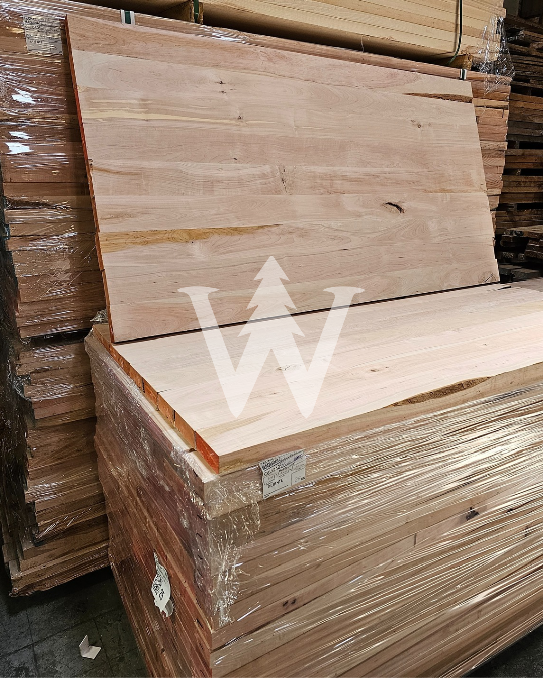 Cubiertas Lenga stock