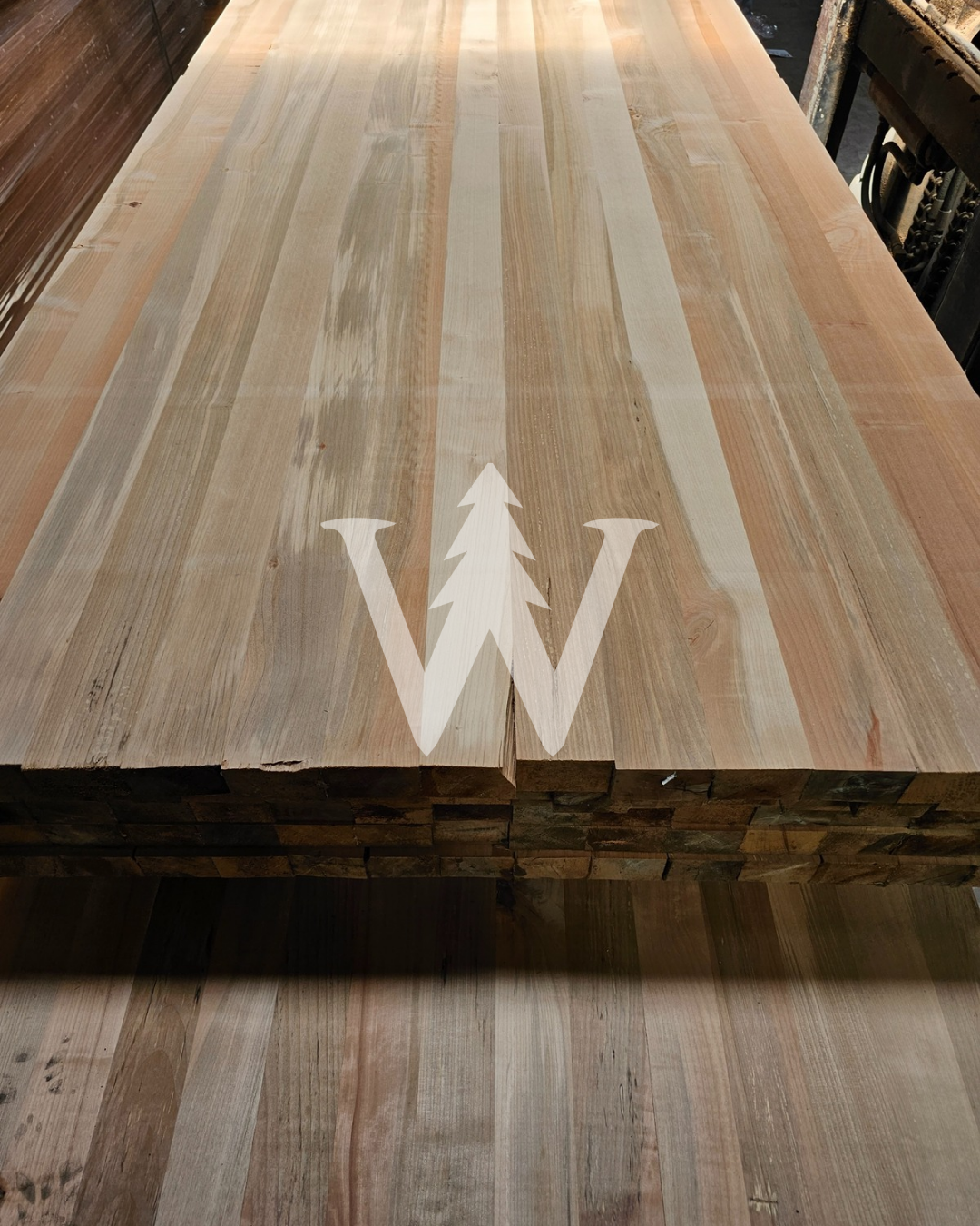 Cubiertas Rauli Stock