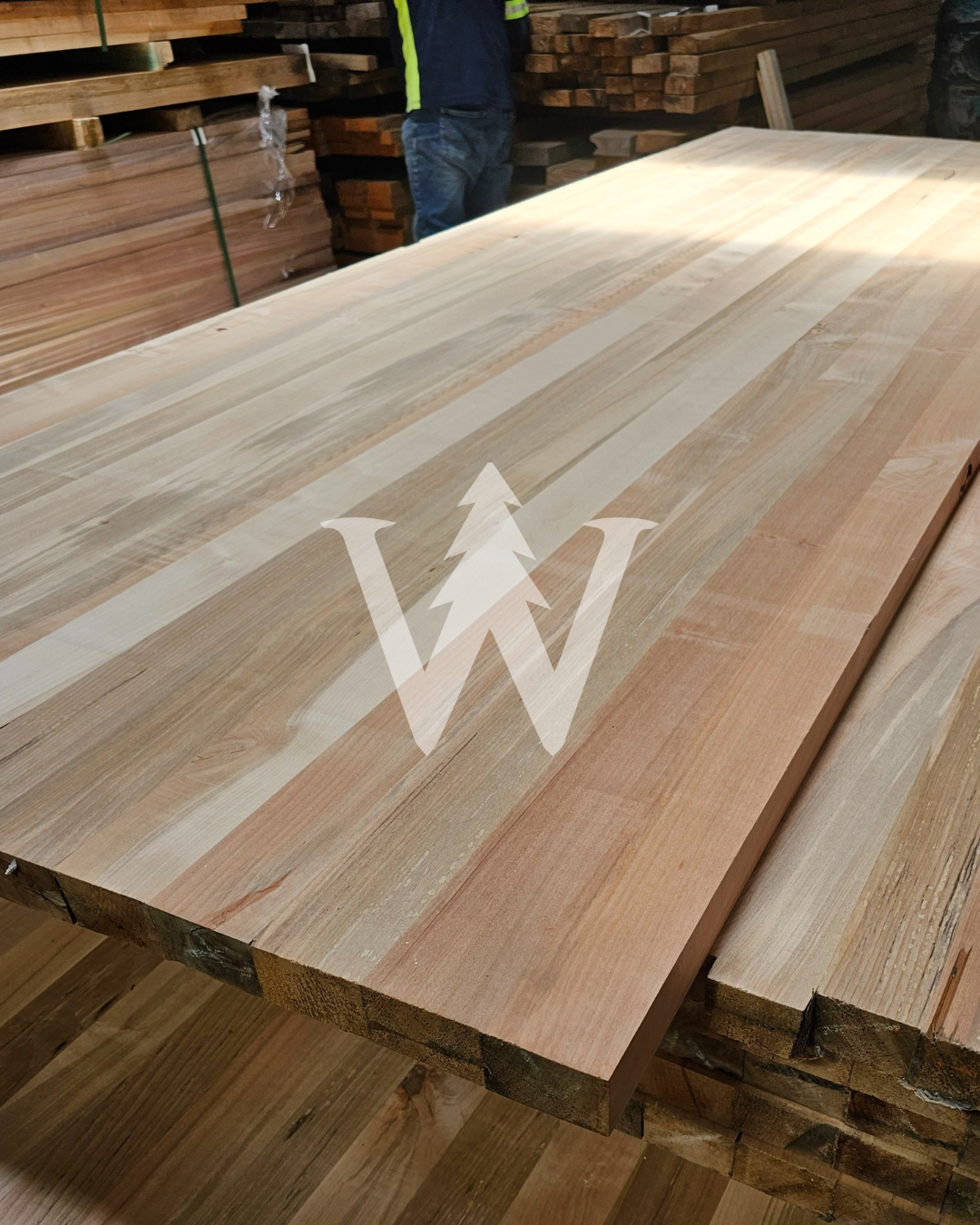 Cubiertas Rauli Stock