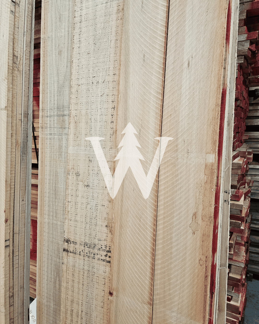 Madera Eucaliptus Grandis
