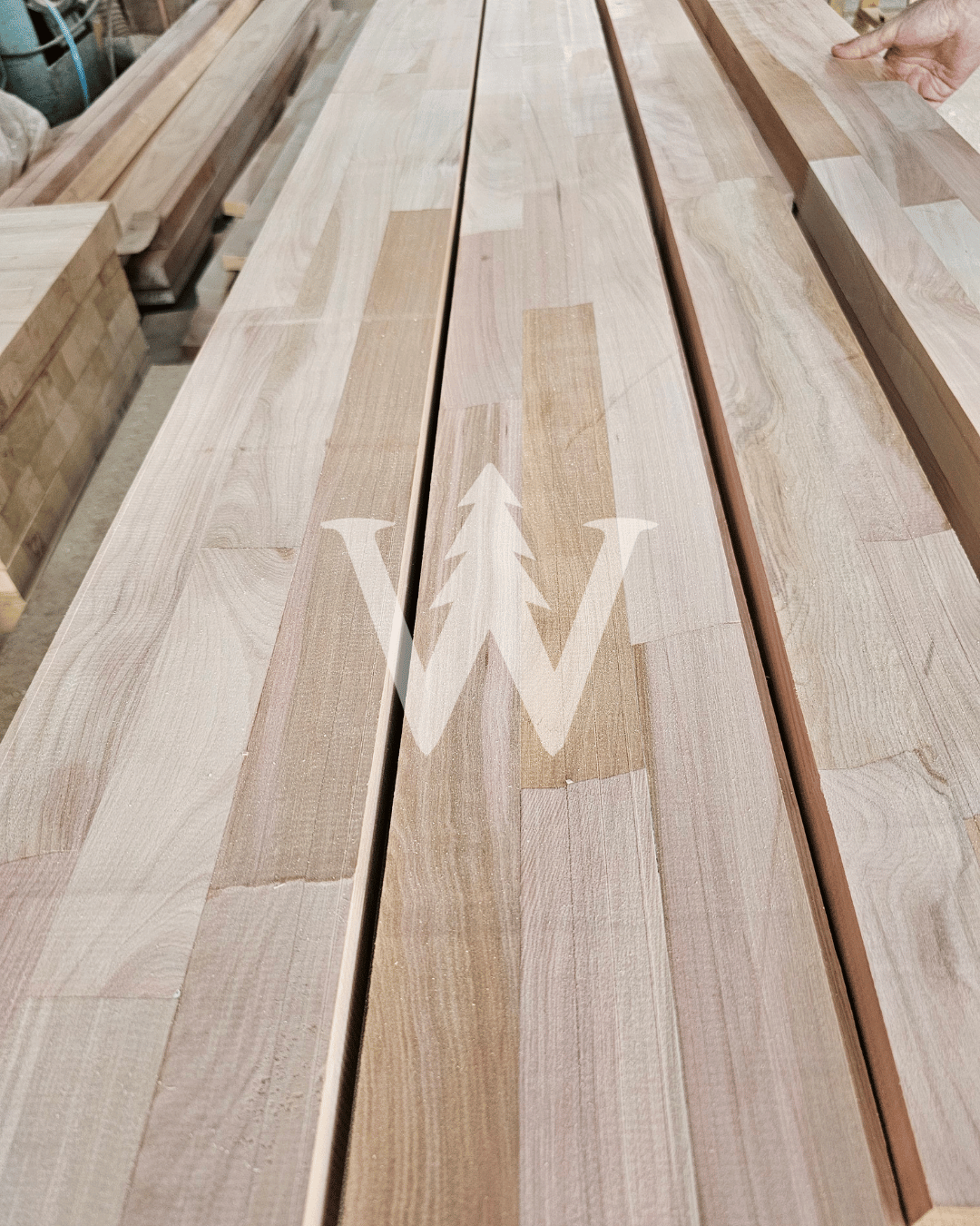 Molduras Finger Joint de Lenga – Blank