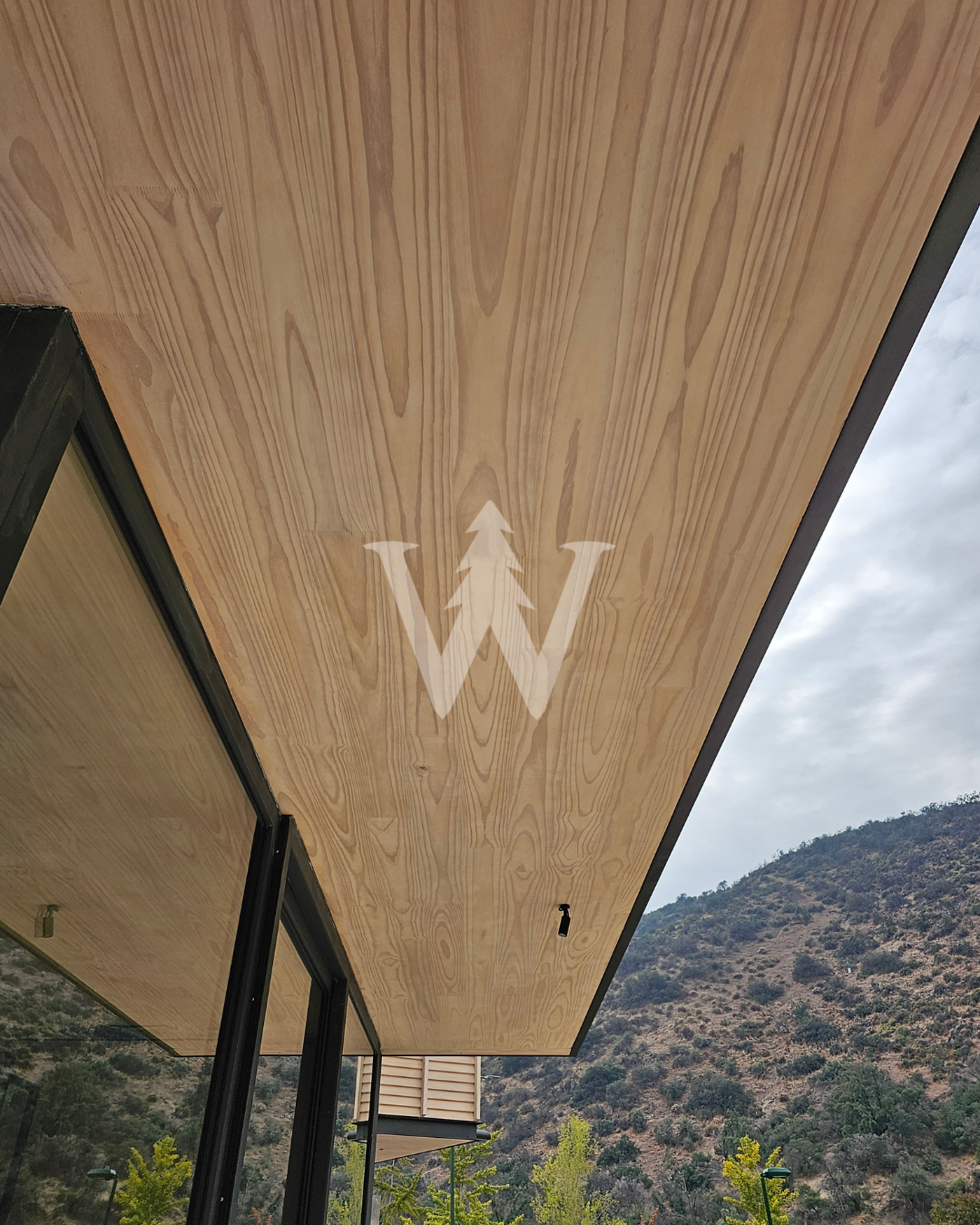 Decofaz Arauco - Pino Clear