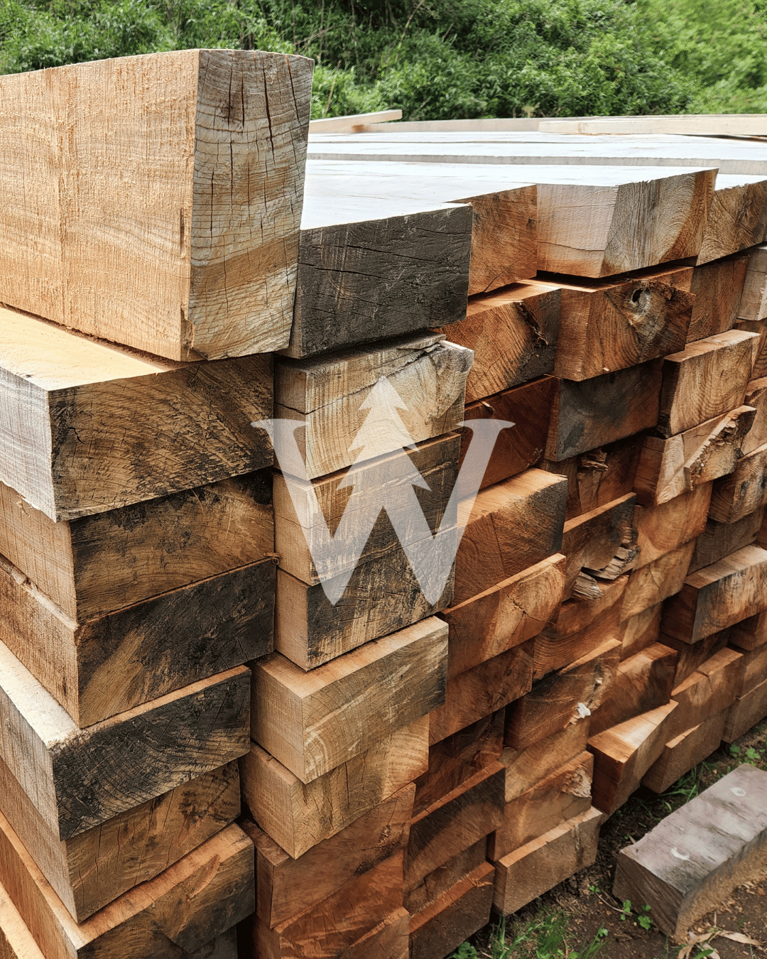 Maderas Aserradas - Laurel