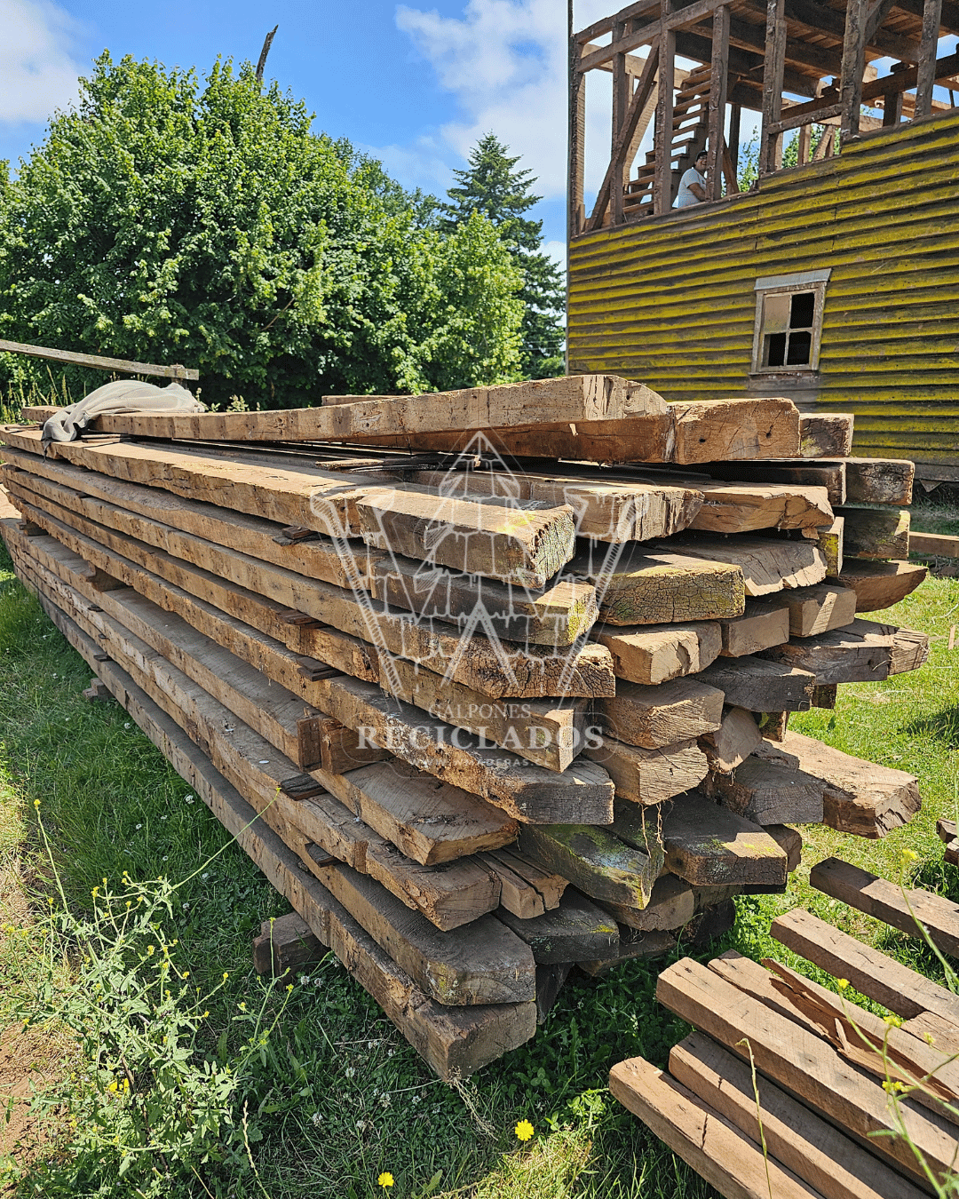 Vigas y Pilares Maderas Reciclada / Demolición