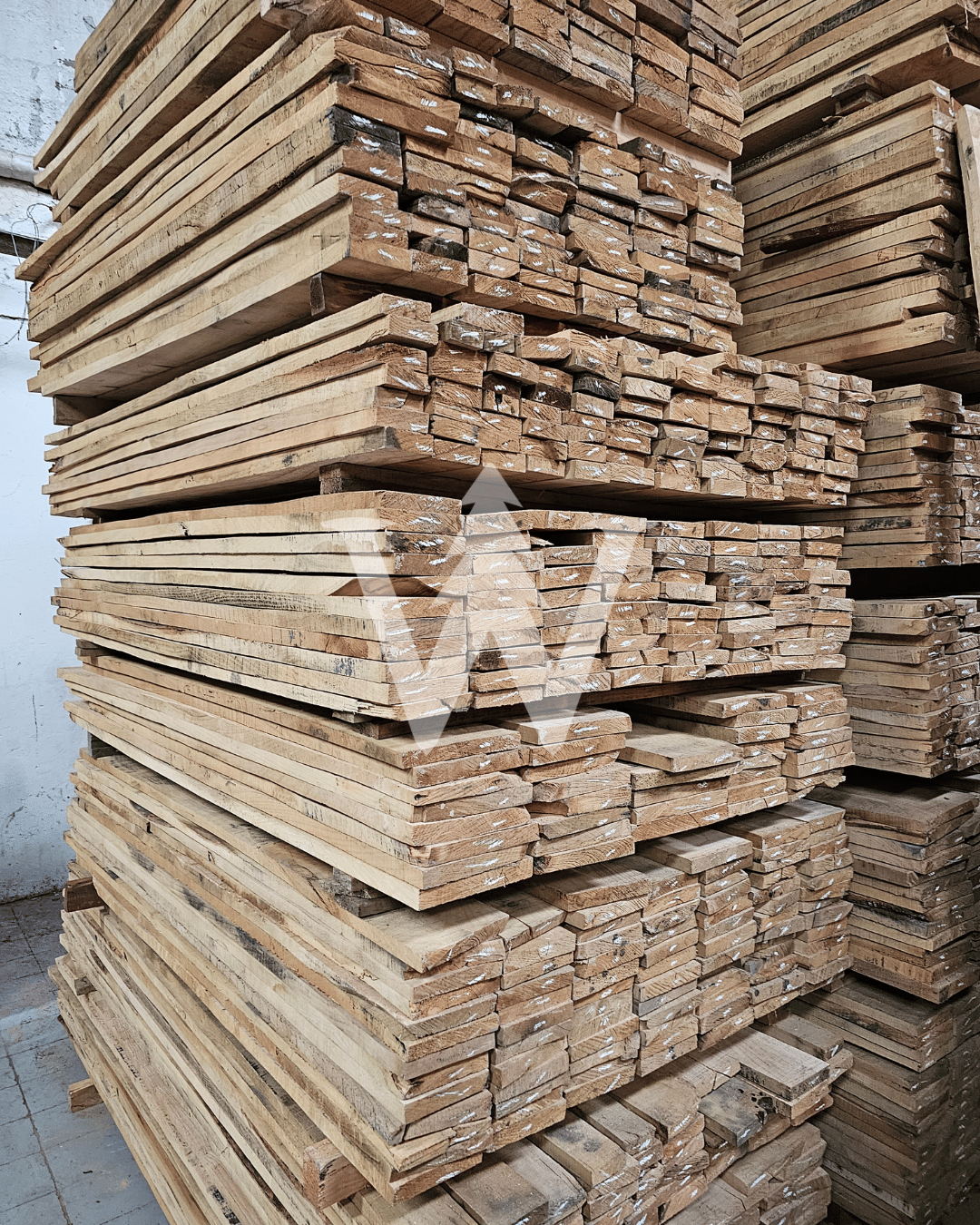 Castaño / Encina Blanca