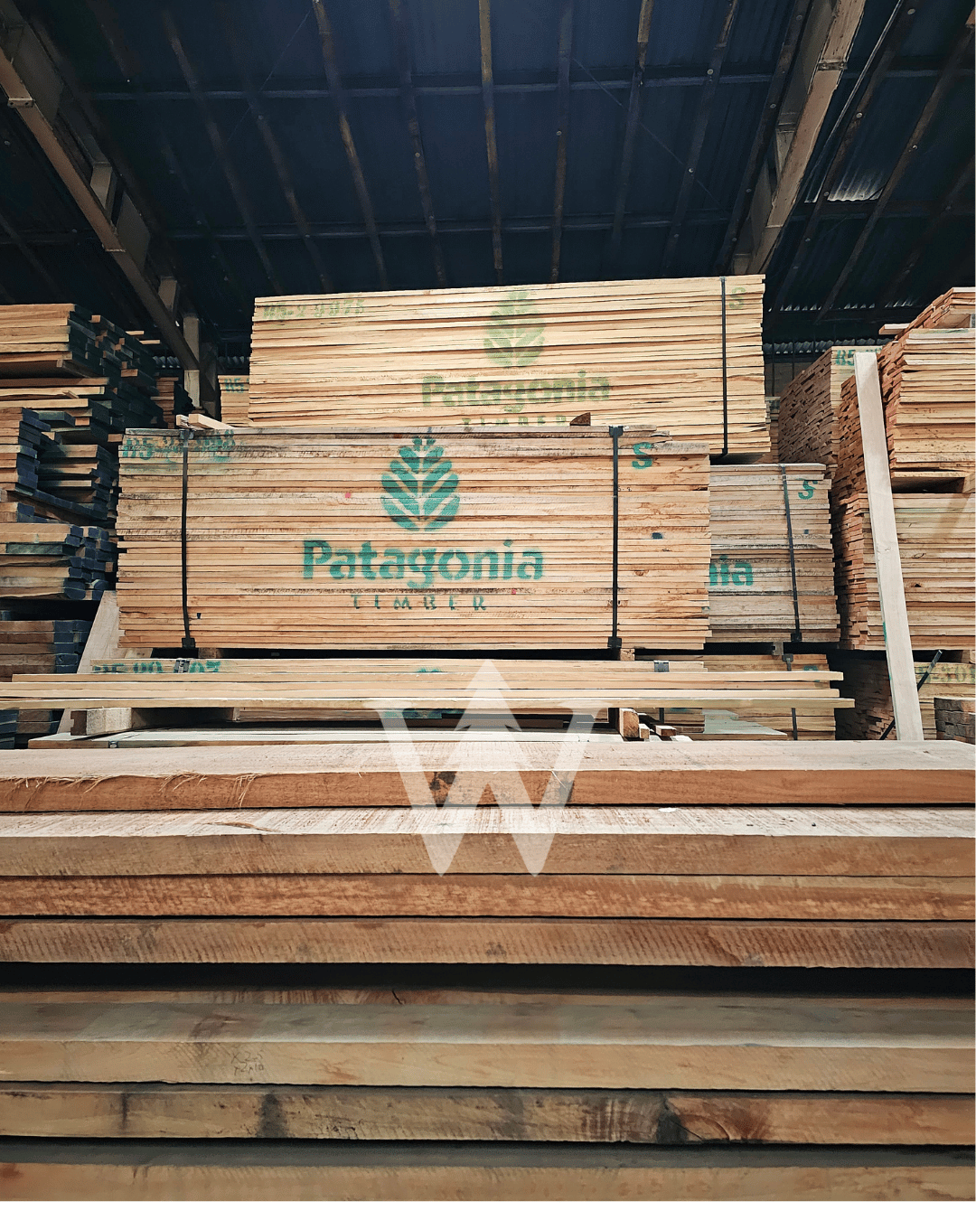 Lenga de Patagonia Timber