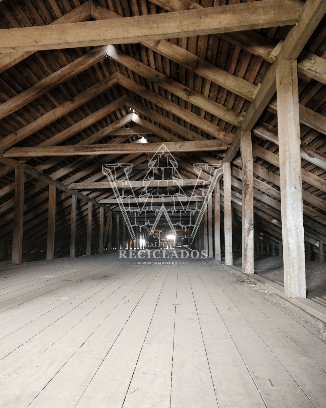 Galpón en Venta – Madera de Laurel Apellinada