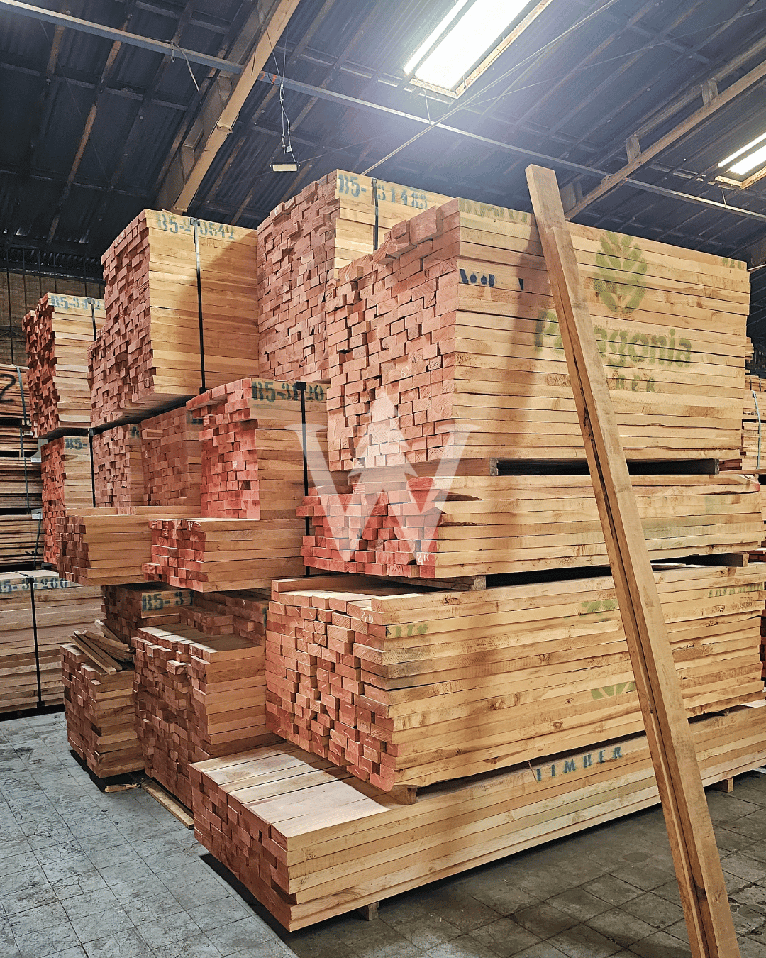 Lenga de Patagonia Timber