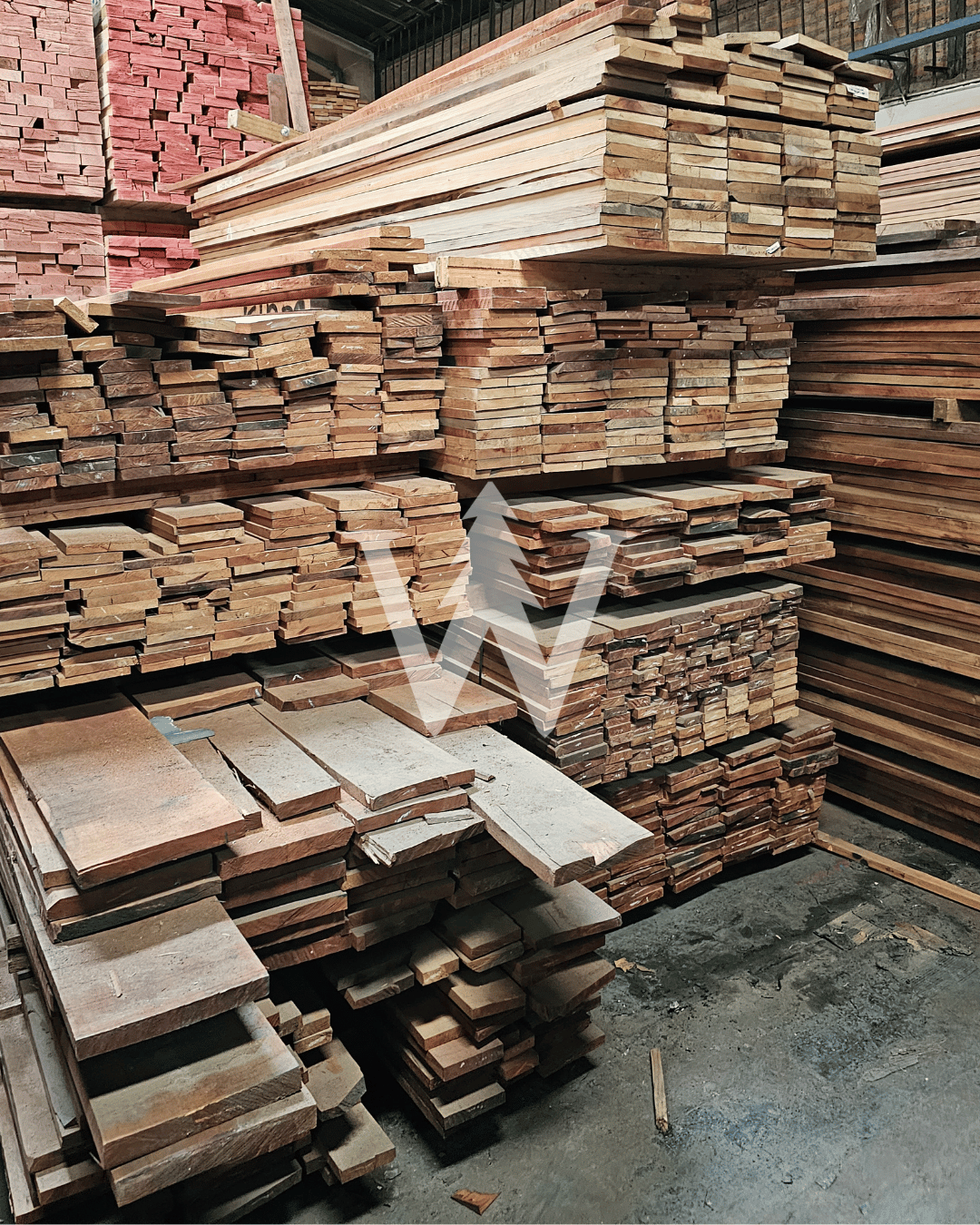 Roble Hualle / Natural