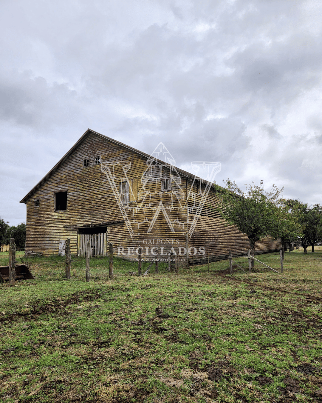 Galpón en Venta – Madera de Laurel Apellinada