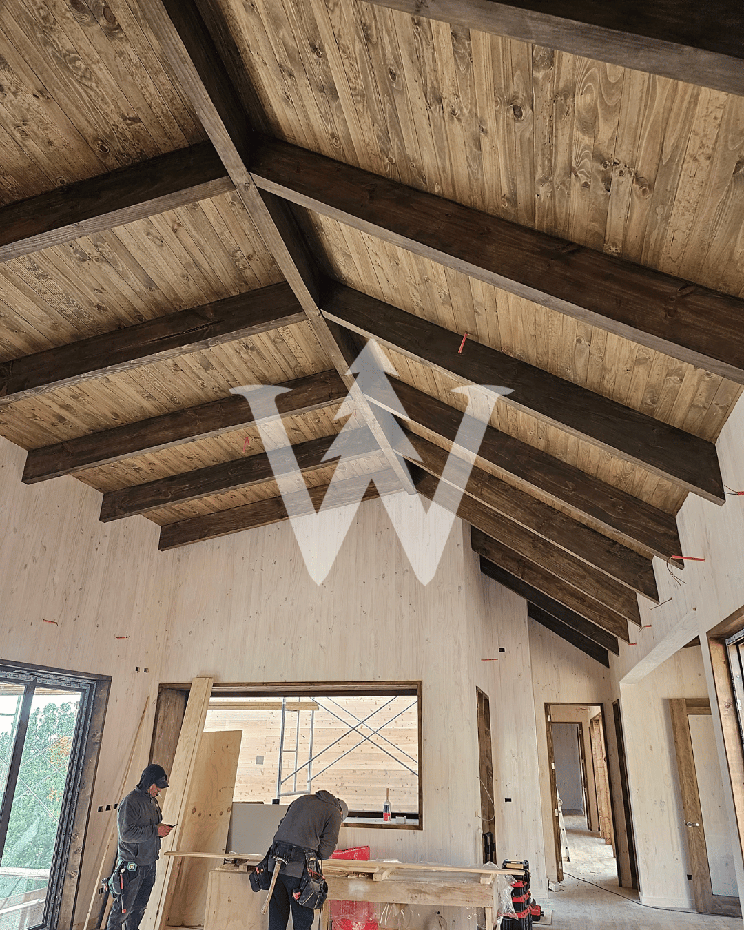 Vigas y Pilares Pino Insigne