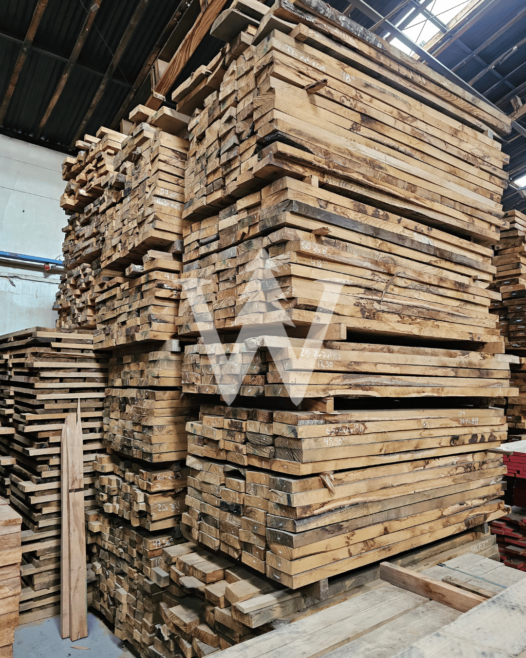 Castaño / Encina Blanca