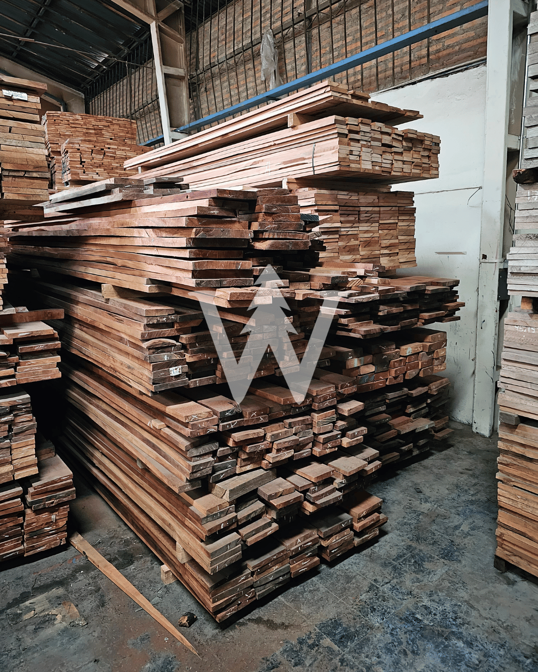 Roble Hualle / Natural