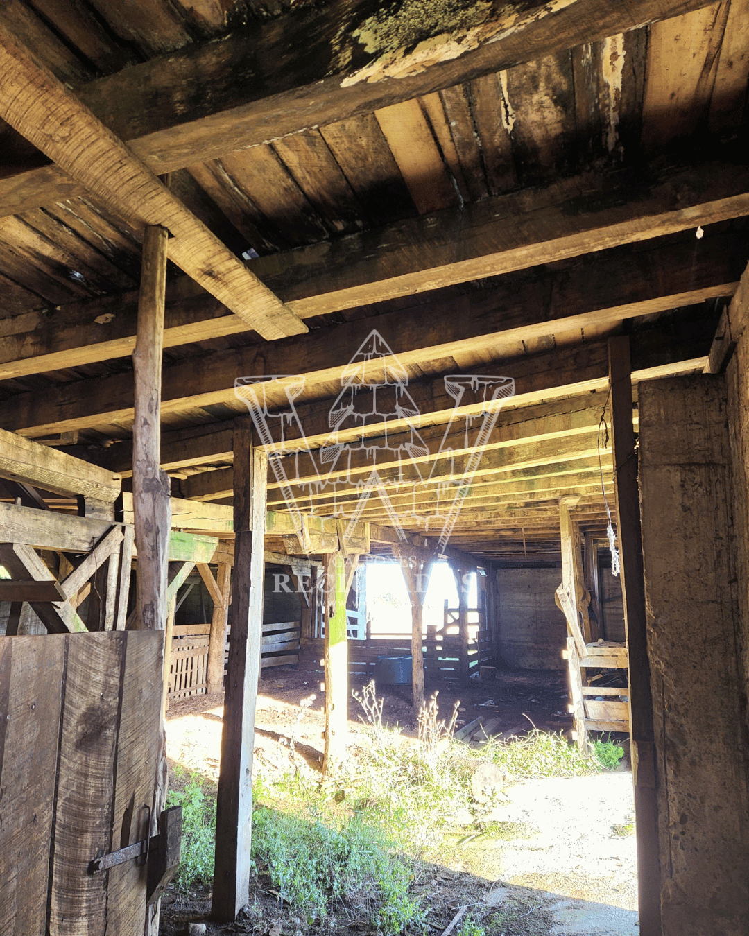 Galpón en Venta – Estructura Patrimonial Alemana