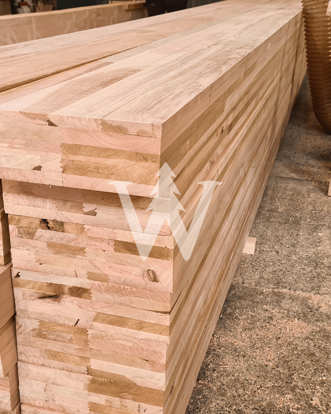 Madera laminada Lenga