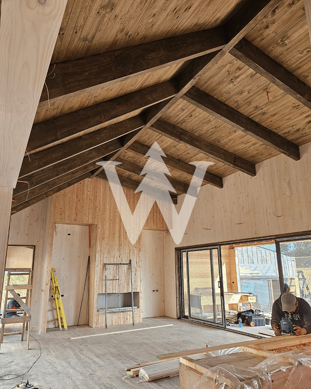 Vigas y Pilares Pino Insigne