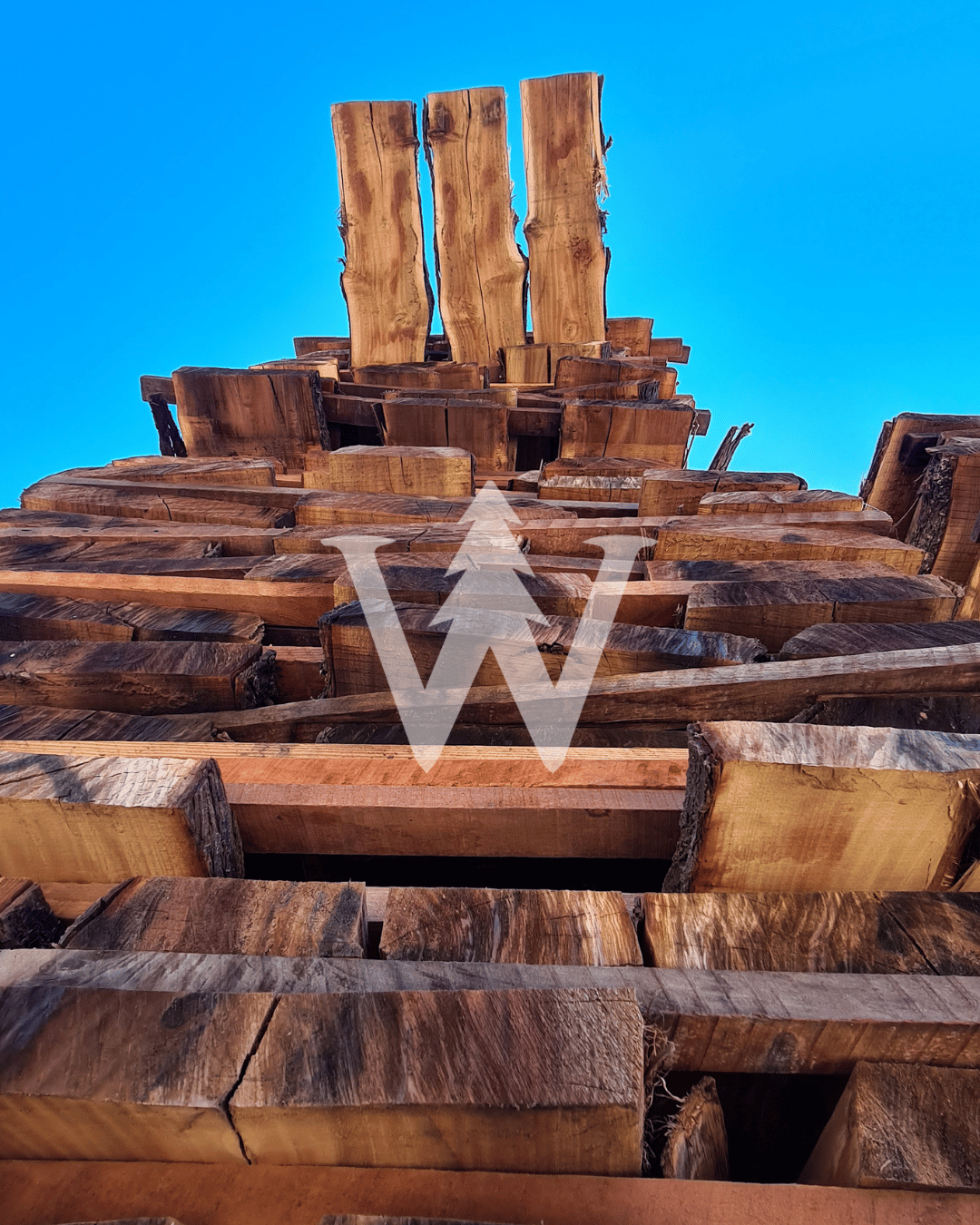 Madera Aromo Australiano