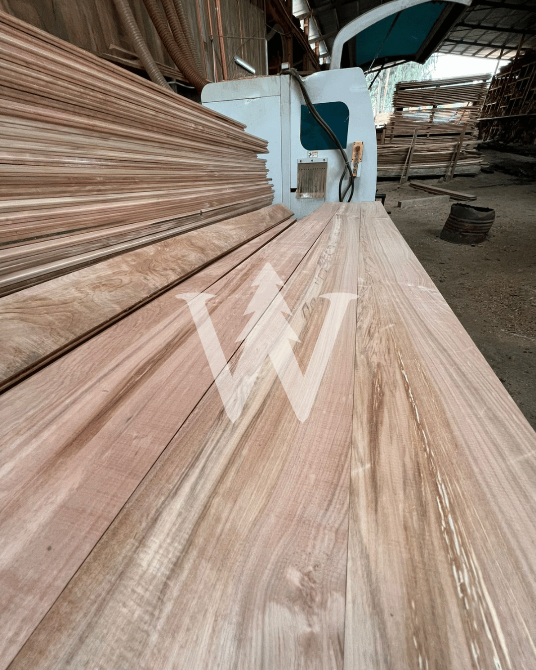 Revestimiento Coihue