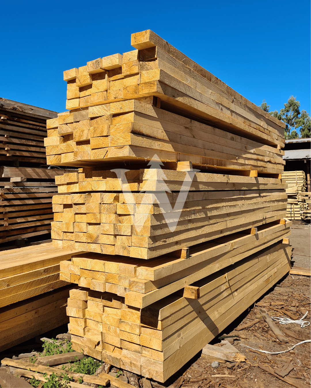 Pino Cepillado 2"x para Construcción - Venta por Paquetes