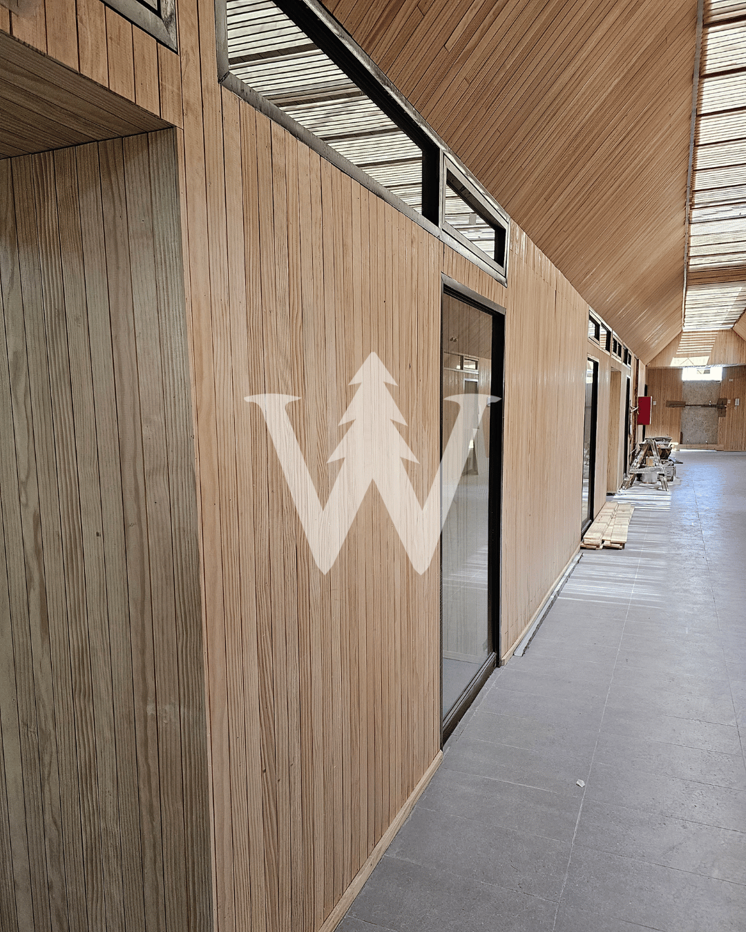 Decofaz Arauco - Pino Clear