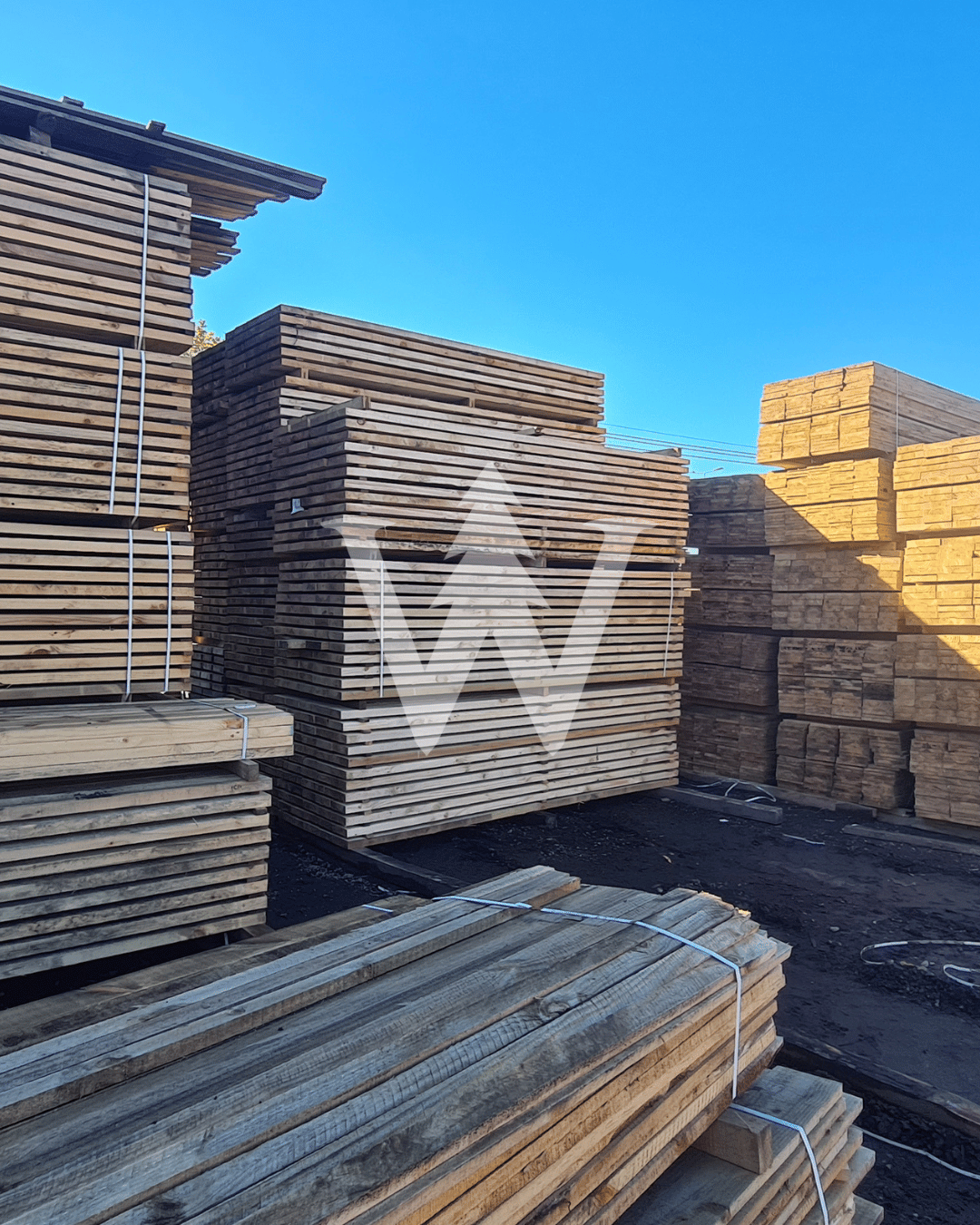 Pino Bruto 1"x para Construcción - Venta por Paquetes