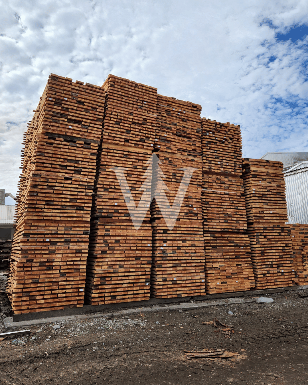 Pino Cepillado 1"x para Construcción - Venta por Paquetes