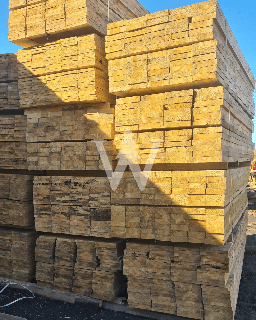 Pino Insigne Bruto Impregnado CCA 1"x para Construcción - Venta por Paquetes