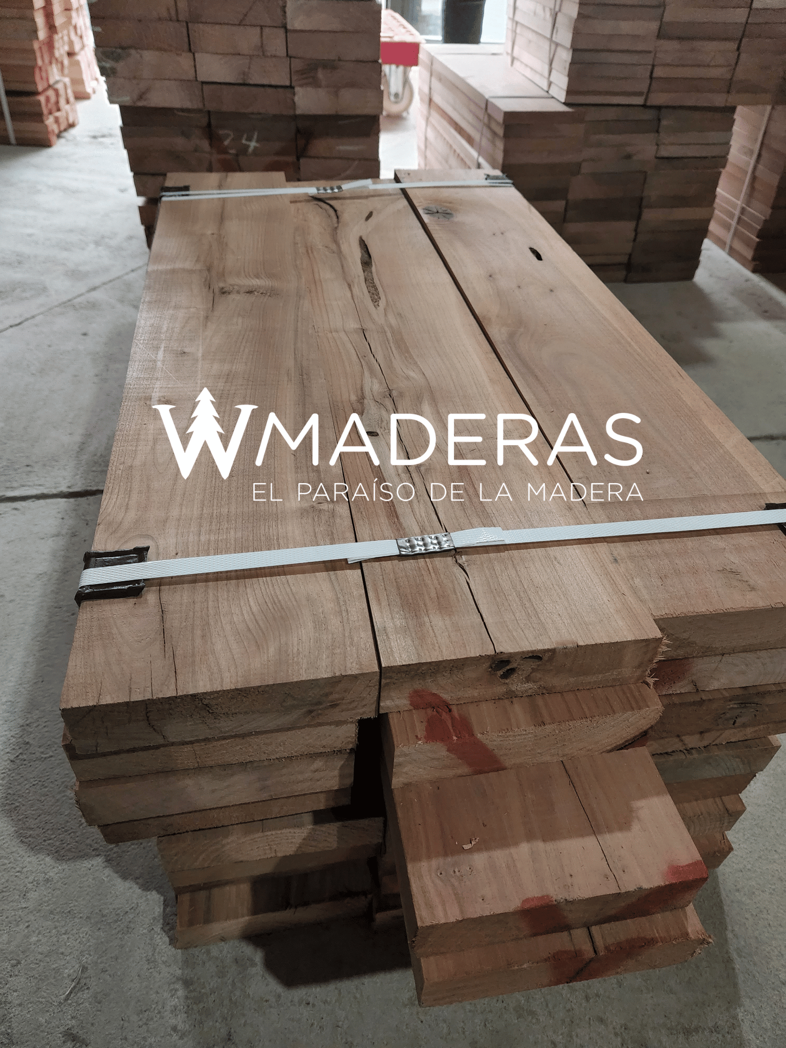 Despuntes de Roble Vaporizado 1,5"x