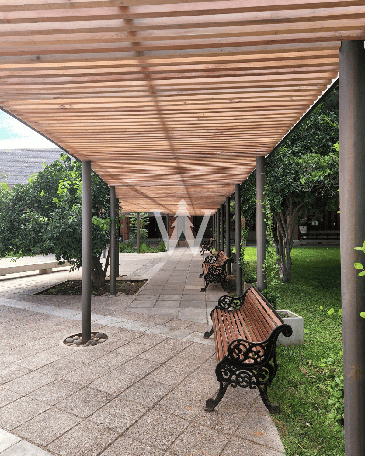 Palillaje Madera (Treillage)