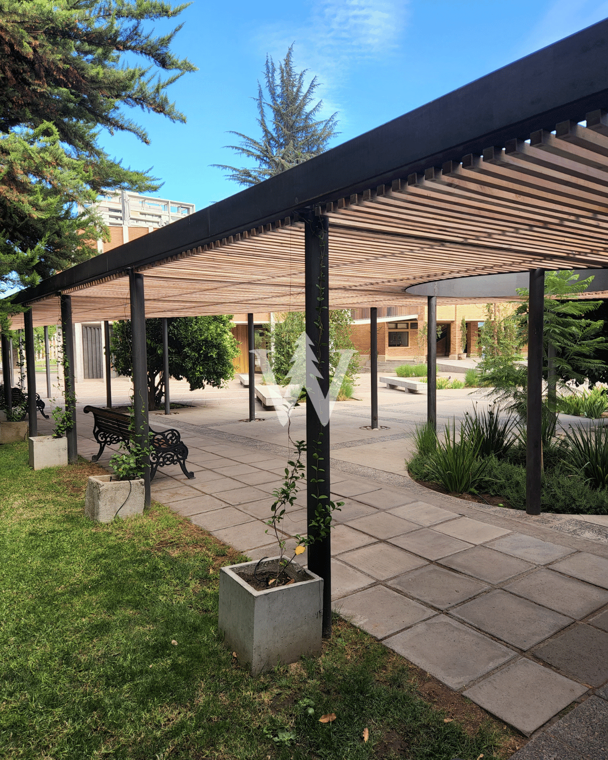 Palillaje Madera (Treillage)