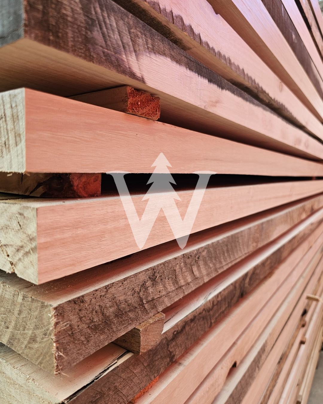 Eucaliptus seco precepillado