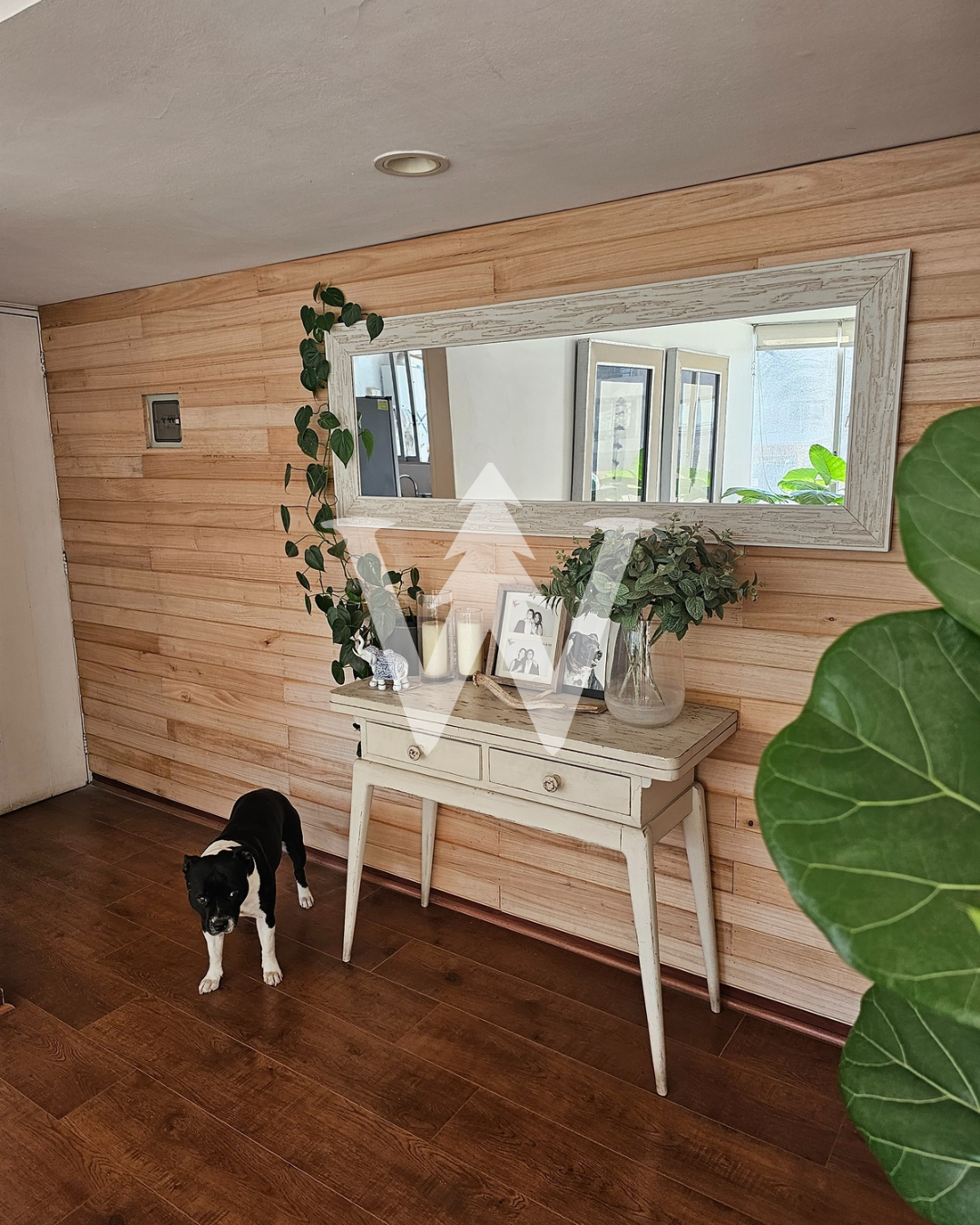 Revestimiento Eucaliptus stock