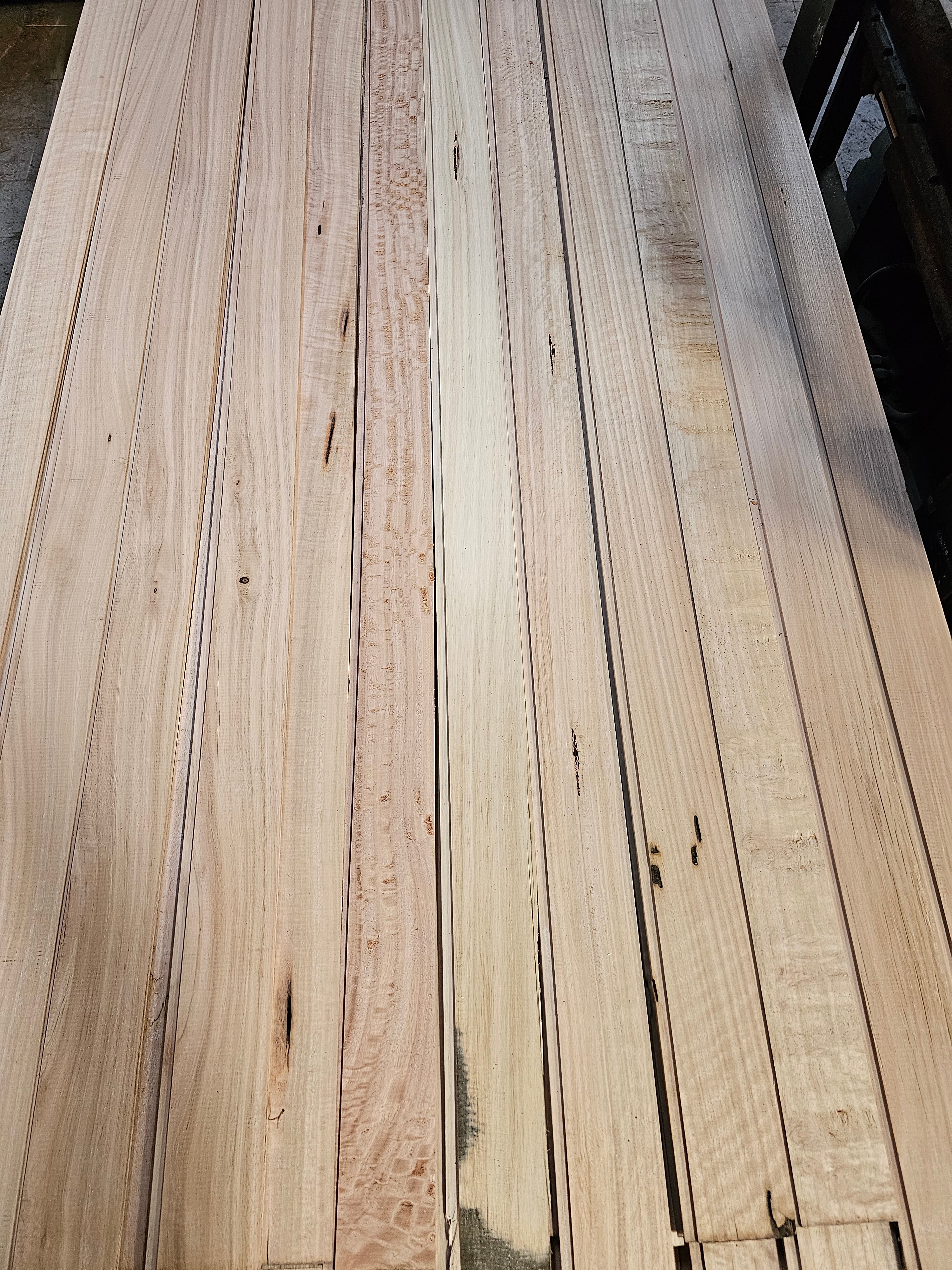 Revestimiento Eucaliptus stock