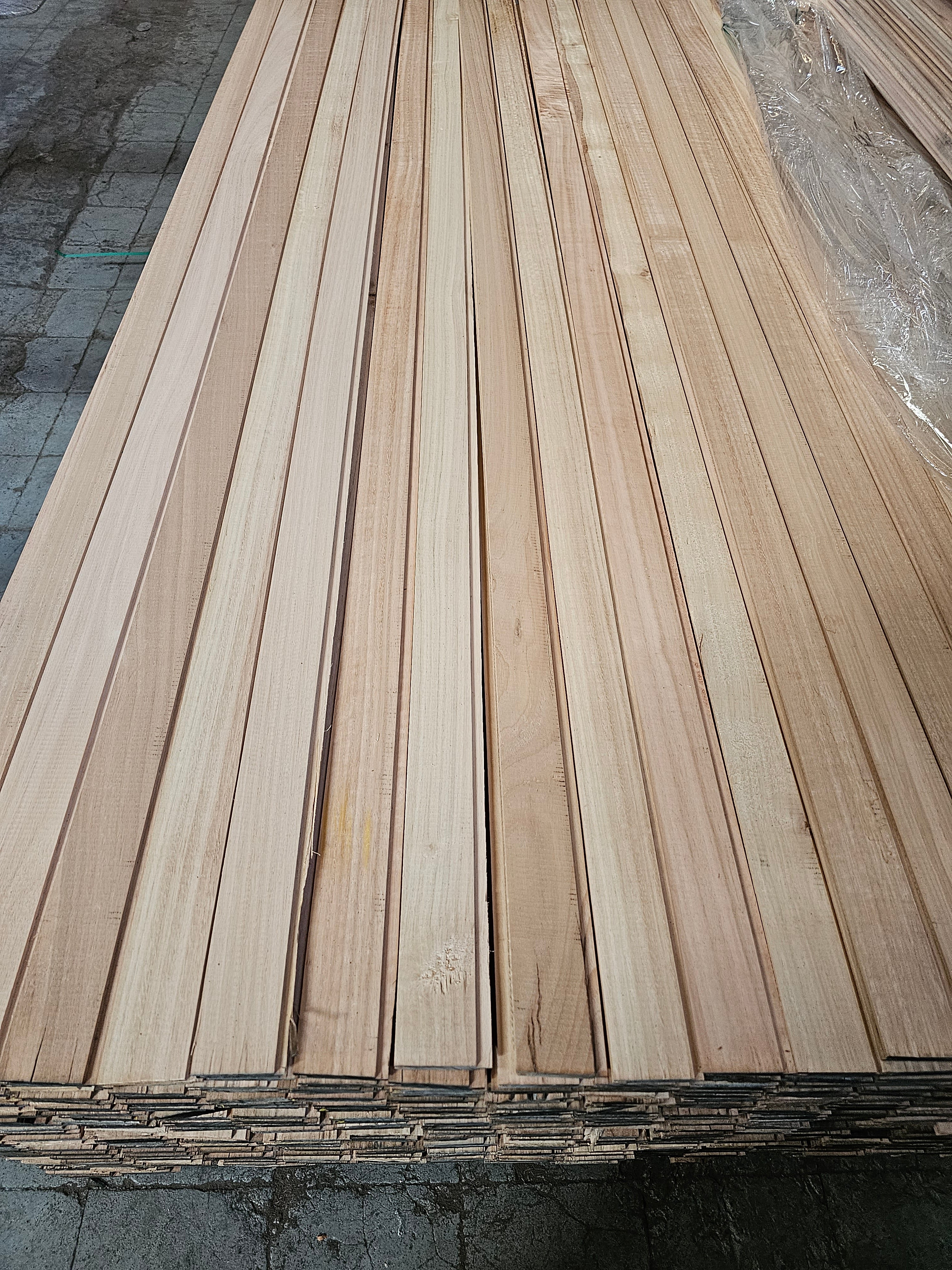 Revestimiento Eucaliptus stock