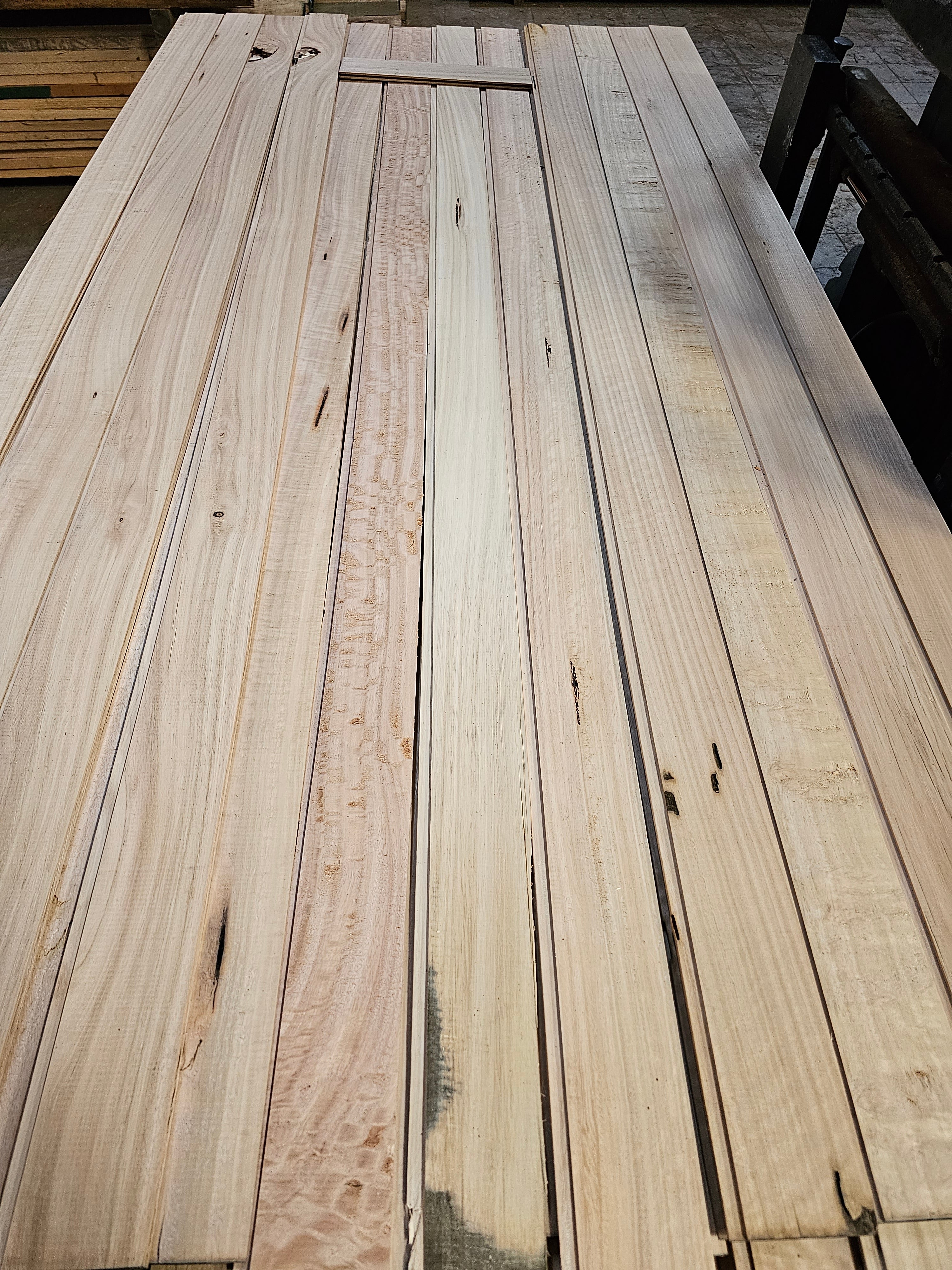 Revestimiento Eucaliptus stock